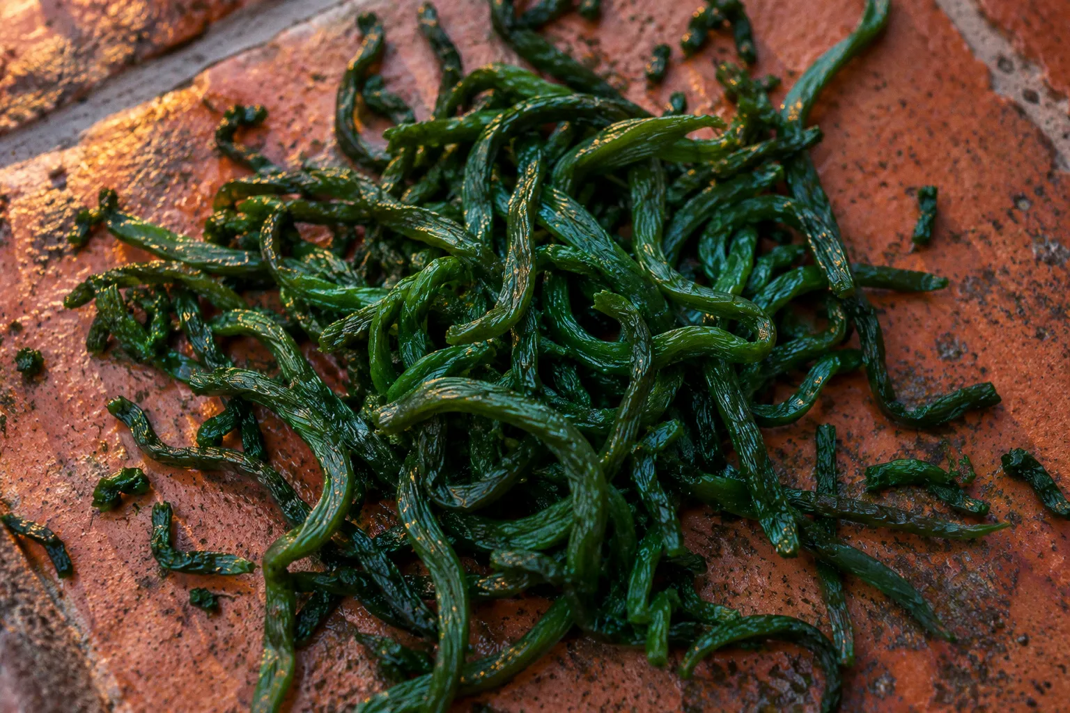 Spiruline française: 5 critères pour choisir une production locale